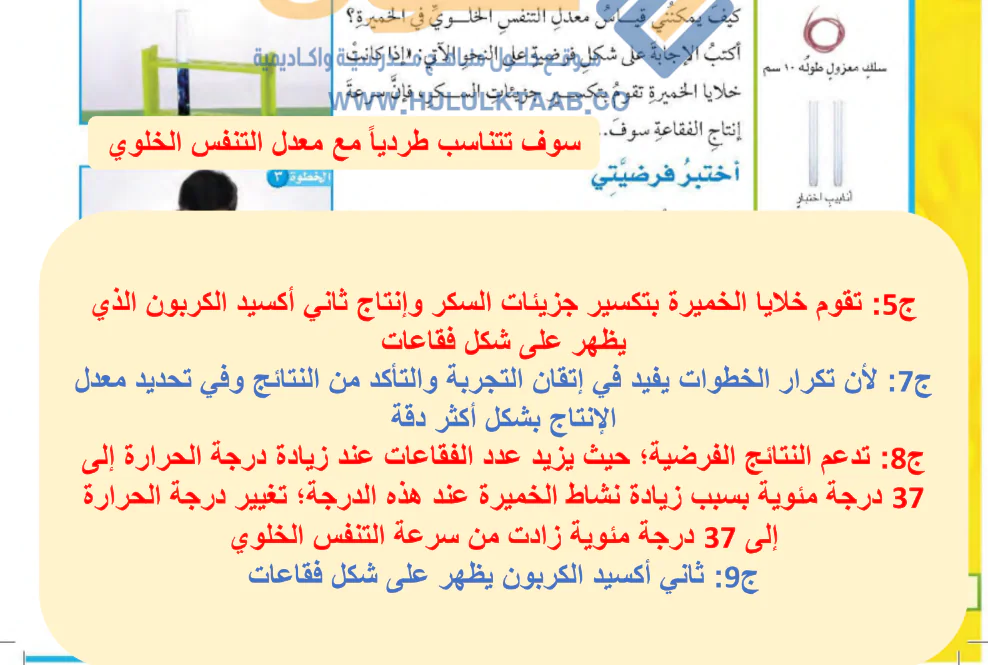 حل كتاب العلوم سادس ابتدائي الفصل الدراسي الاول 1446