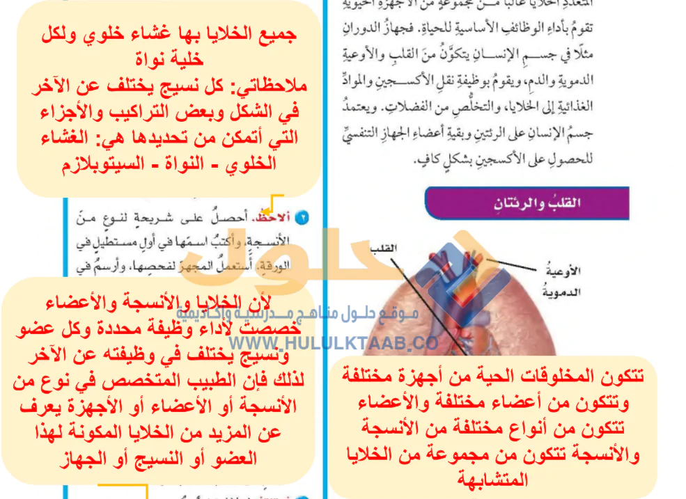 حل كتاب العلوم سادس ابتدائي ف1 1446